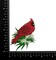 Cardinal on Snowy Branch, Shimmery, Embroidered, Iron on Patch